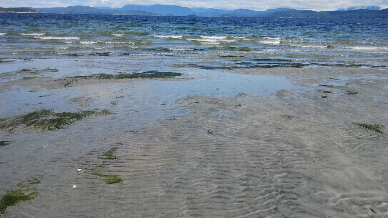 Photo of Others in Savary Island