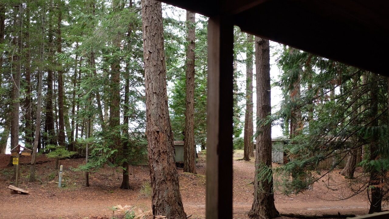 Photo of Others in Savary Island