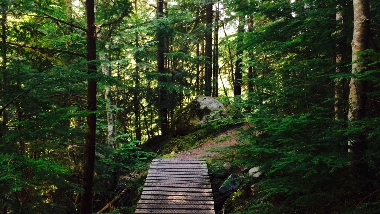 Photo of Others in Proctor