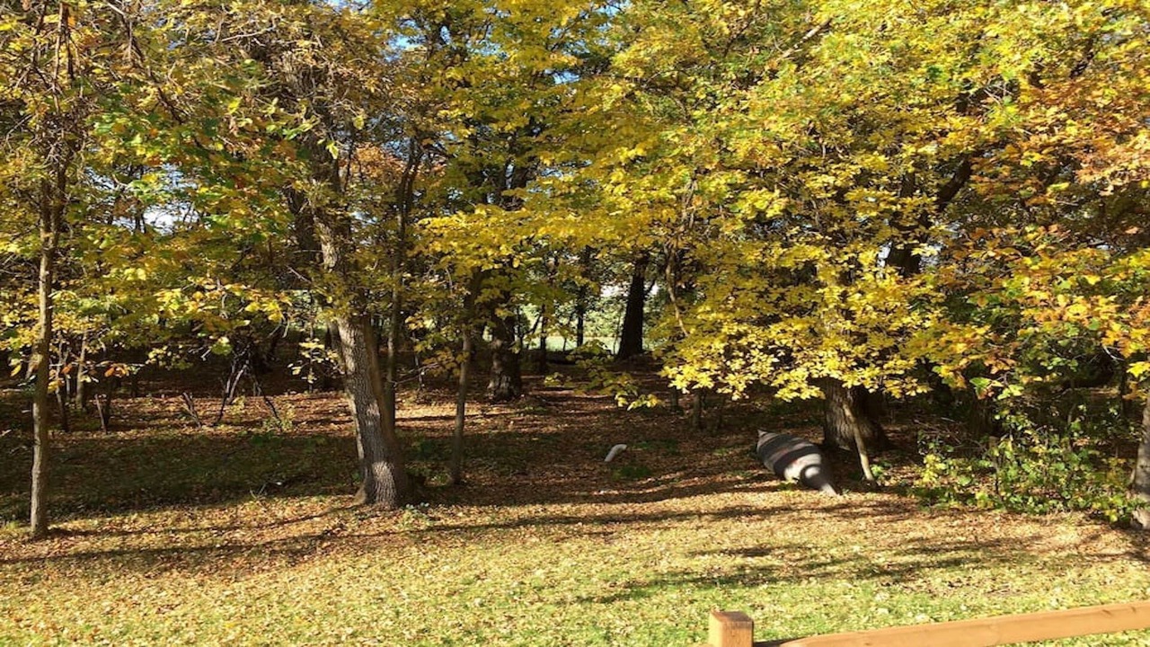 Photo of Outdoor in Sanford