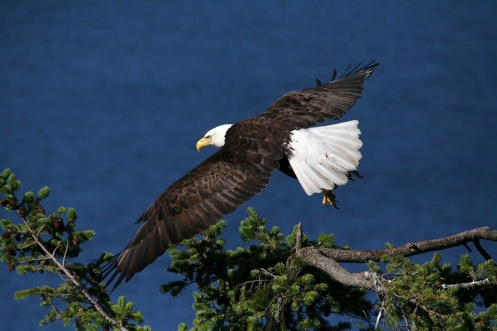 Photo of Others in Regional District of Nanaimo