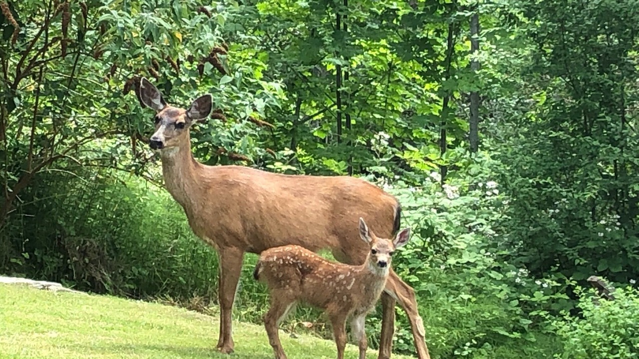 Photo of Outdoor in Halfmoon Bay