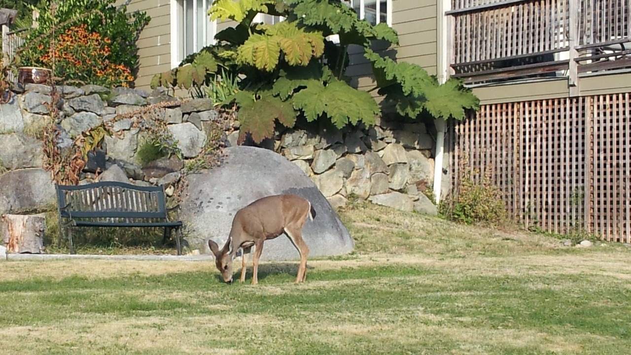 Photo of Outdoor in Halfmoon Bay