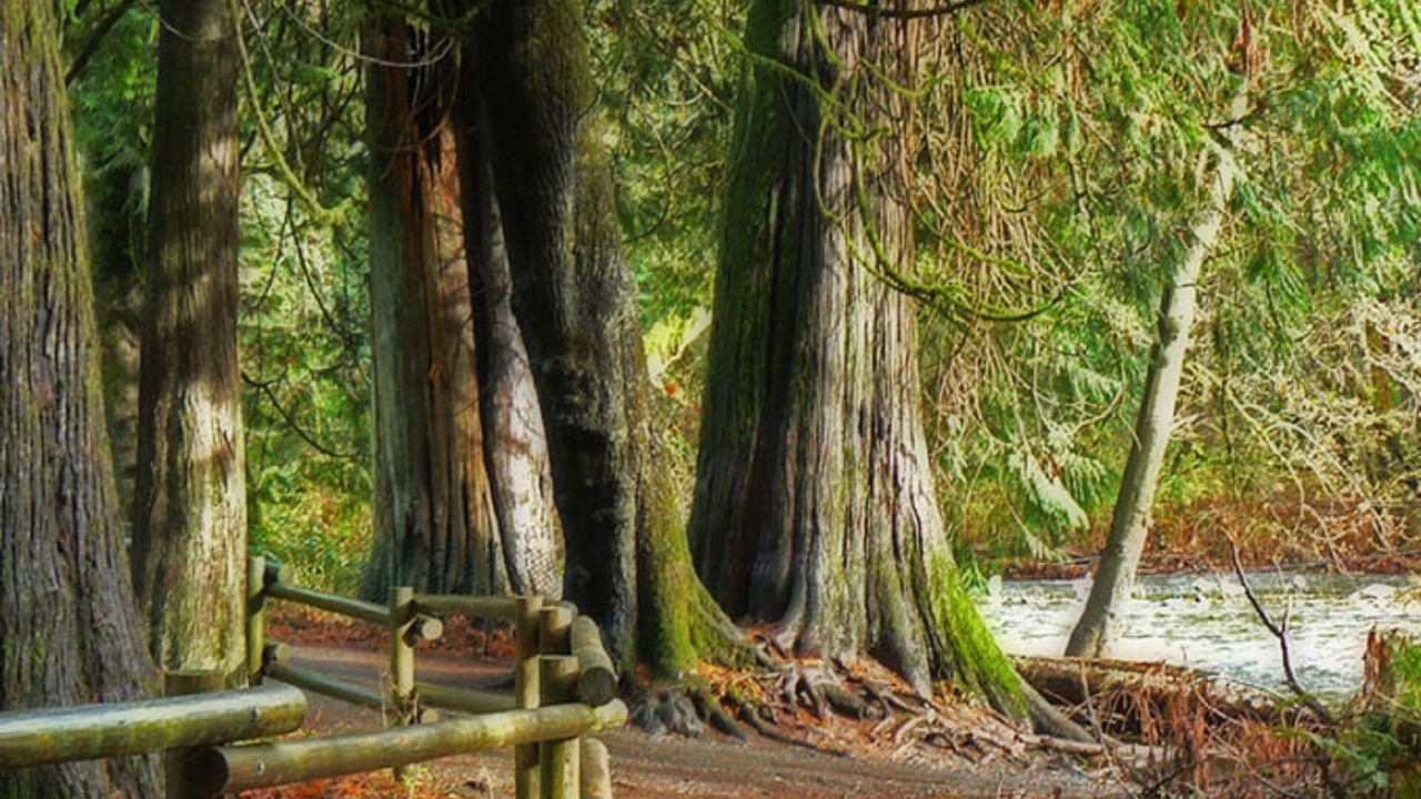 Photo of Others in Cordova Bay