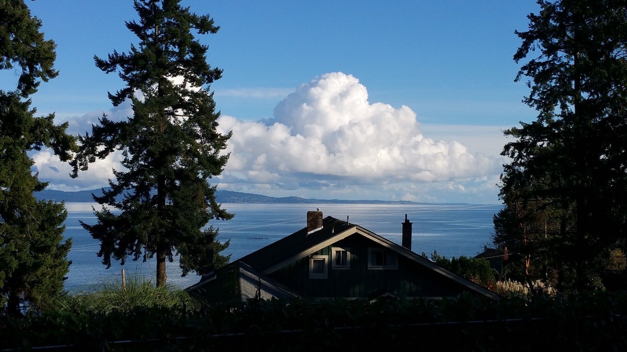 Photo of Others in Cordova Bay
