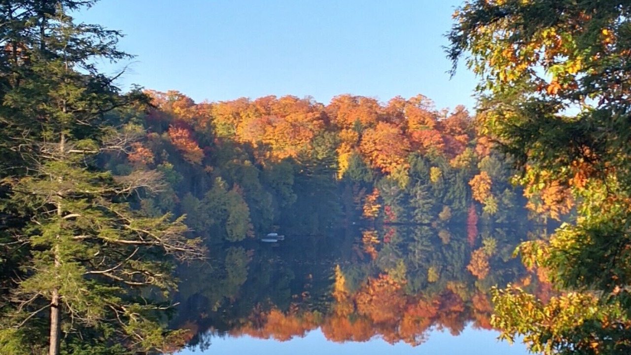 Photo of Outdoor in Seguin