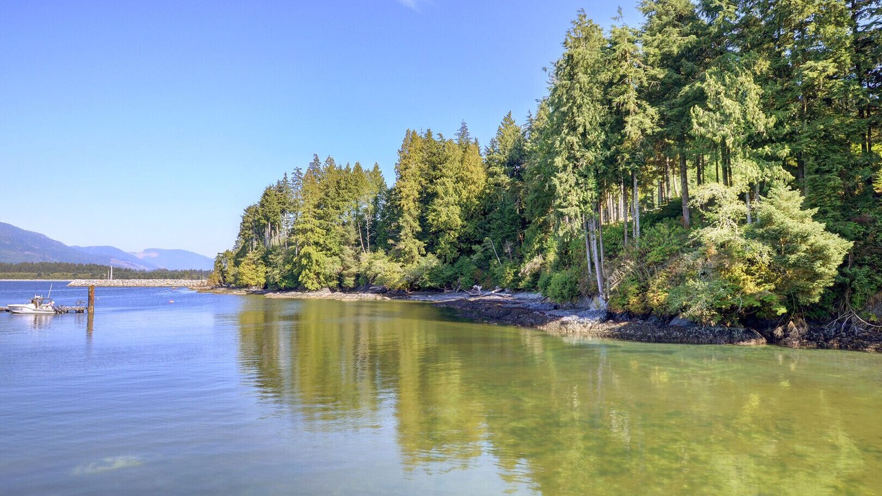 Photo of Others in Port Renfrew