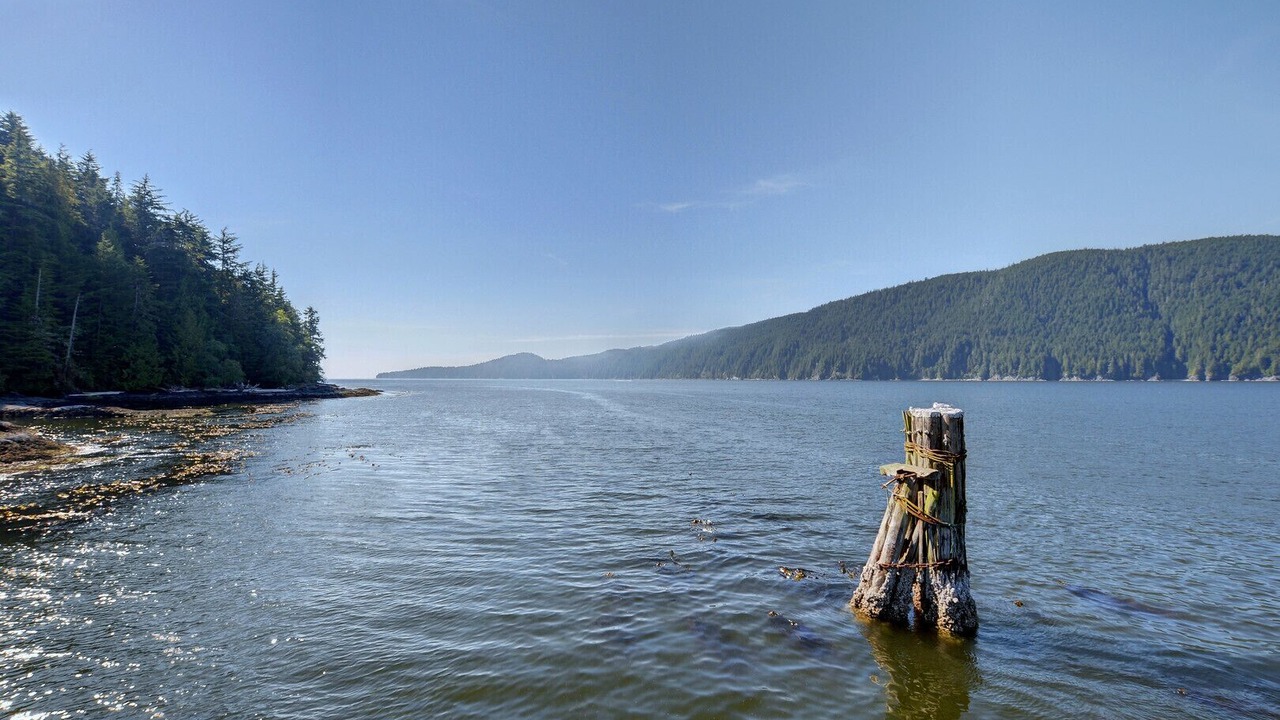 Photo of Others in Port Renfrew