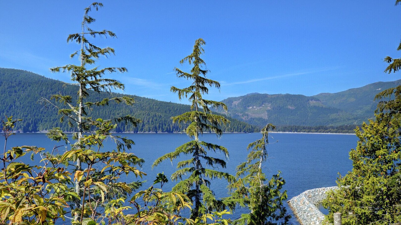 Photo of Others in Port Renfrew