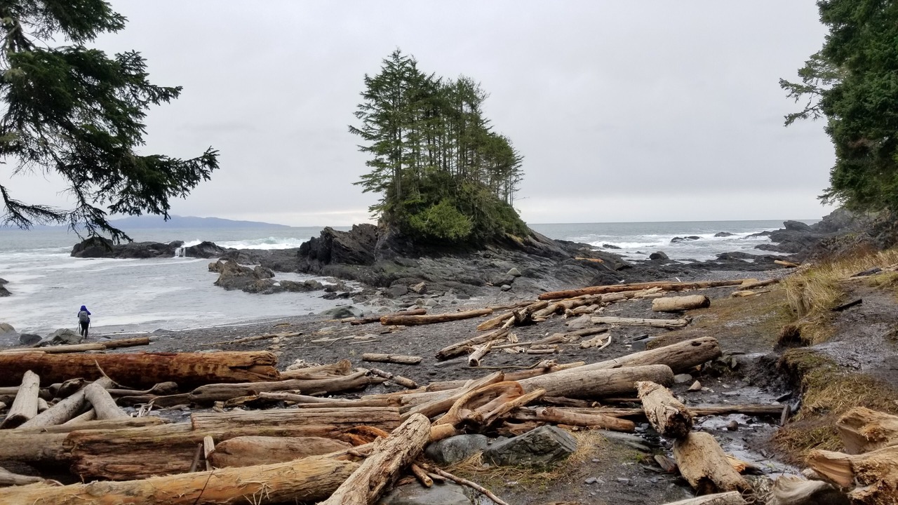 Photo of Others in Port Renfrew