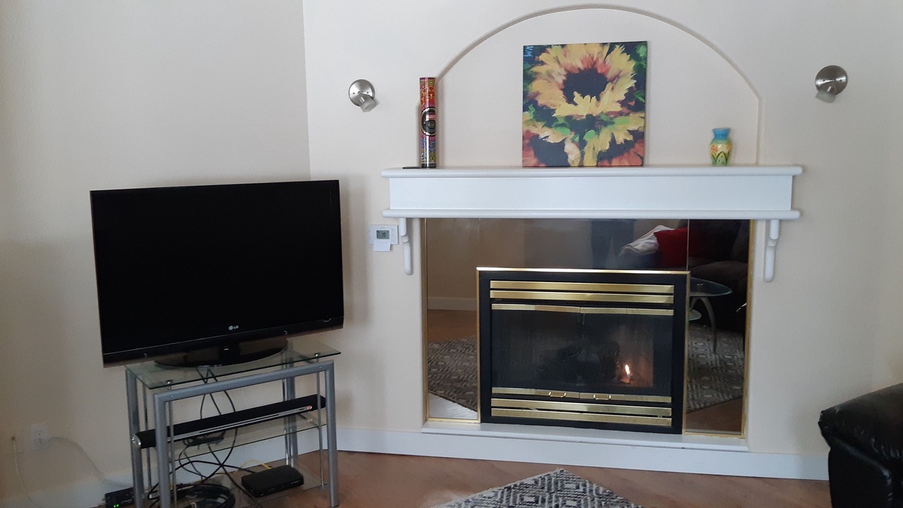 Photo of Livingroom in Shannon Lake