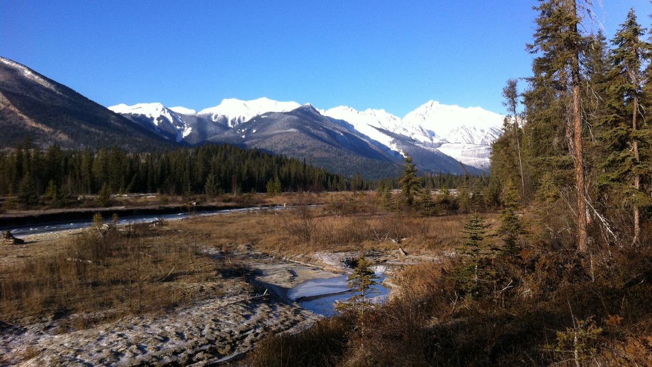 Photo of Others in Golden