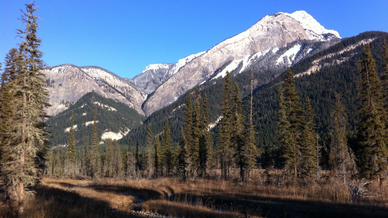 Photo of Outdoor in Golden