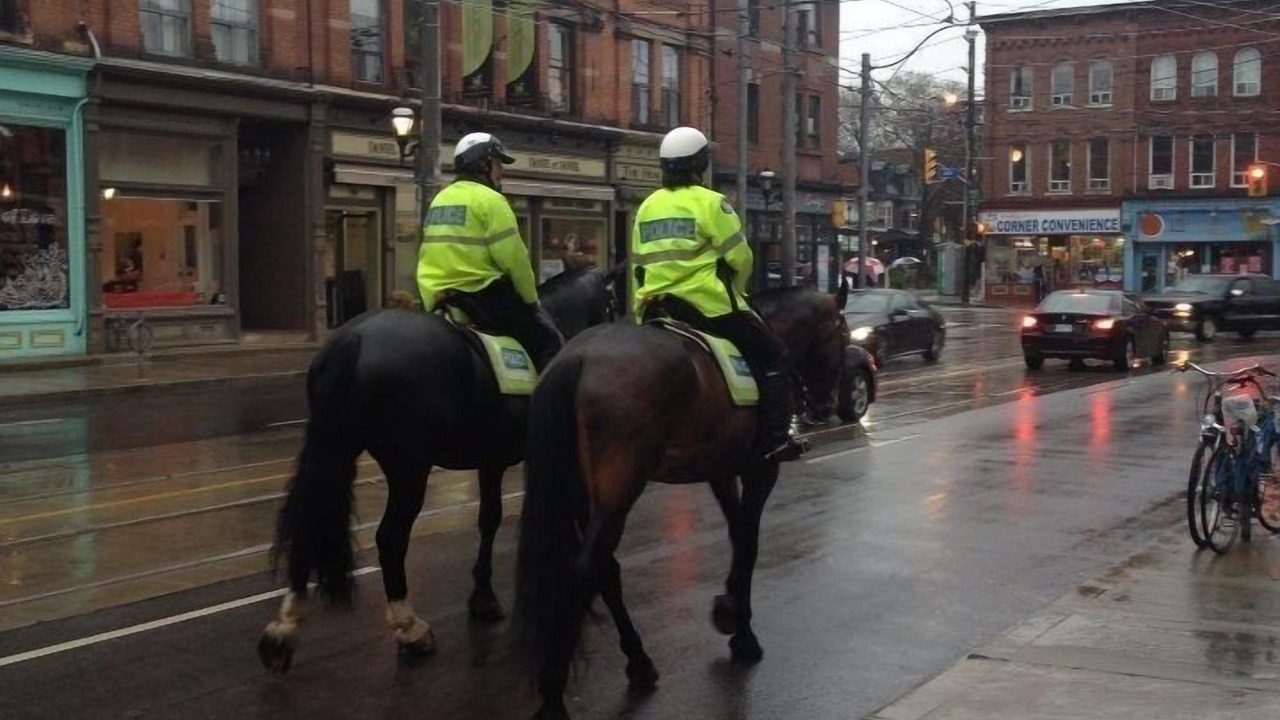 Photo of Others in Cabbagetown South