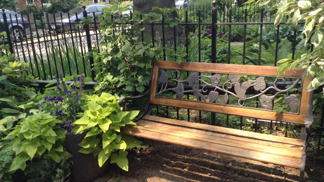 Photo of Outdoor in Cabbagetown South