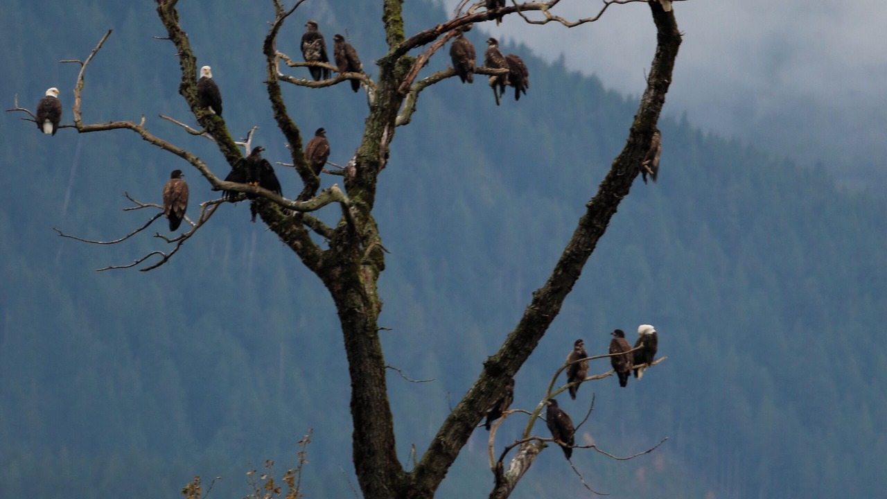 Photo of Others in Harrison Hot Springs