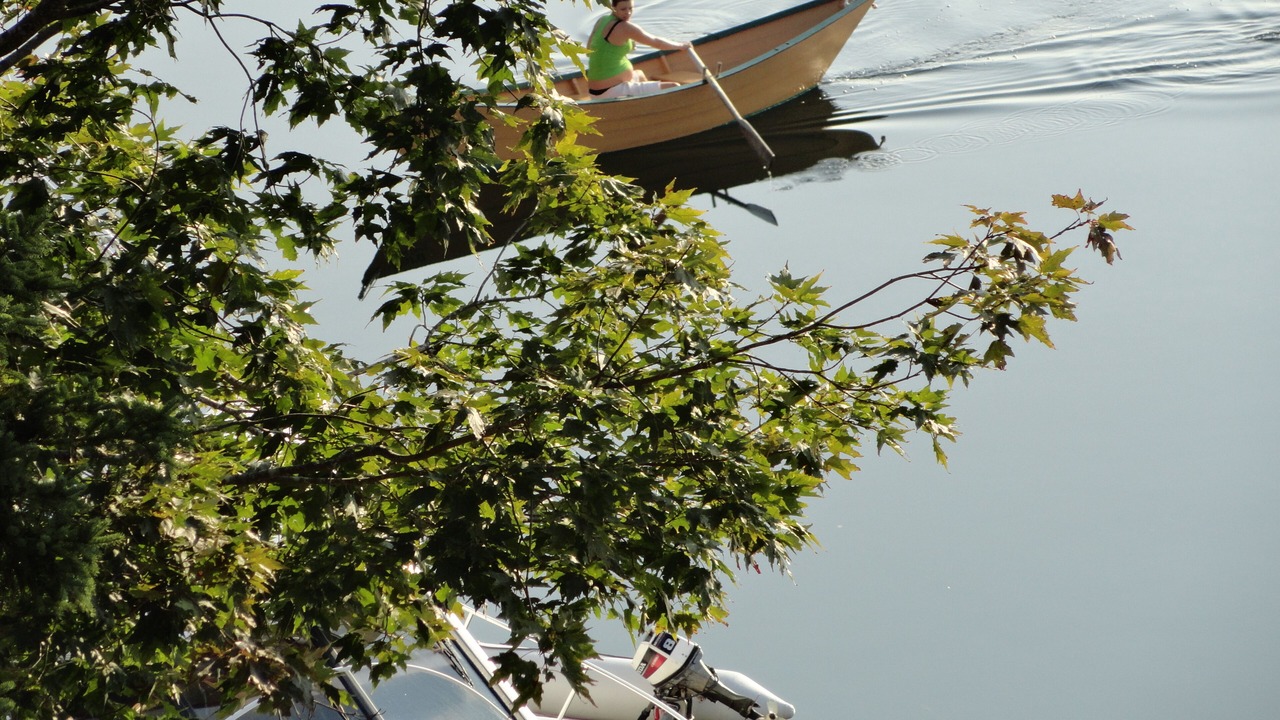 Photo of Others in Boularderie