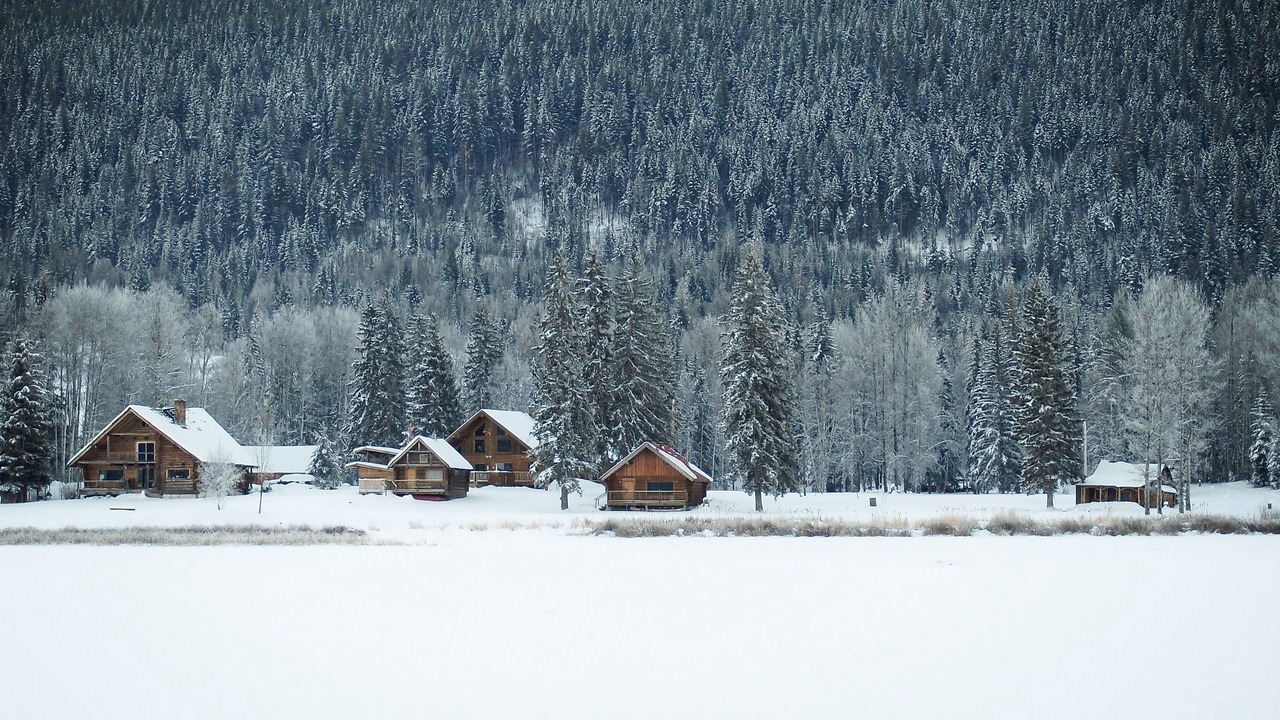 Photo of Outdoor in Canim Lake