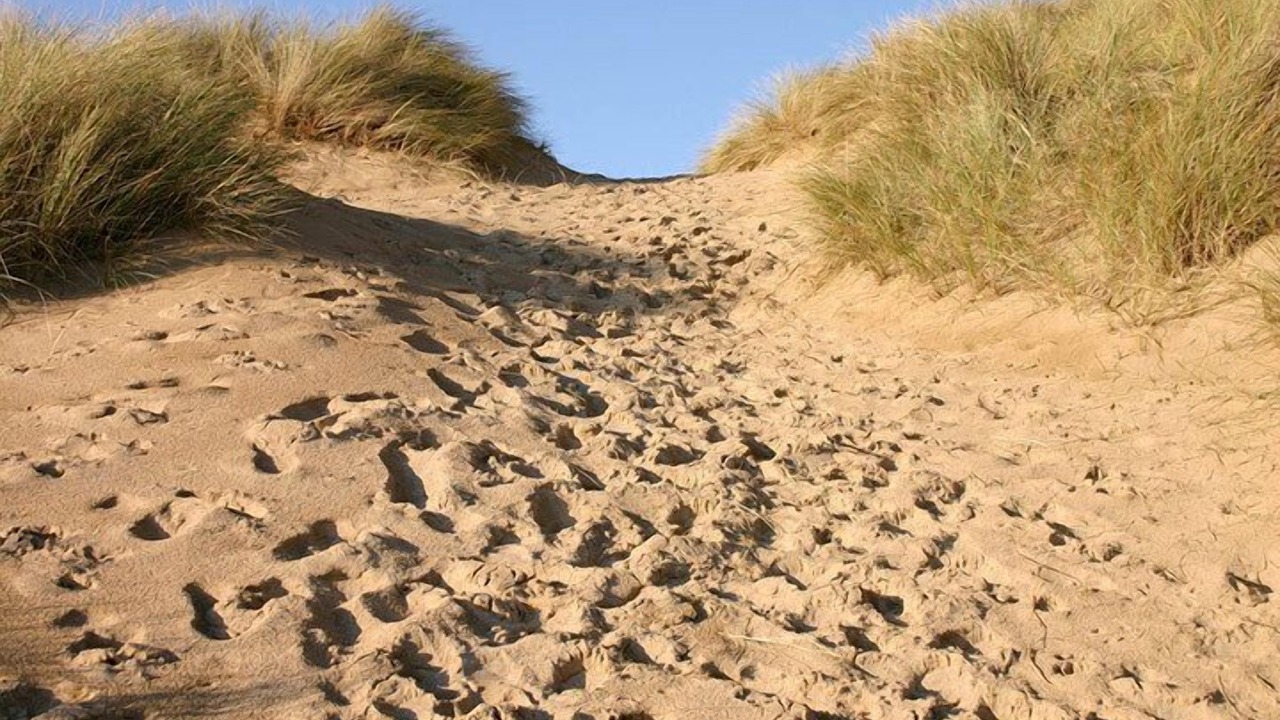 Photo of Others in North Rustico