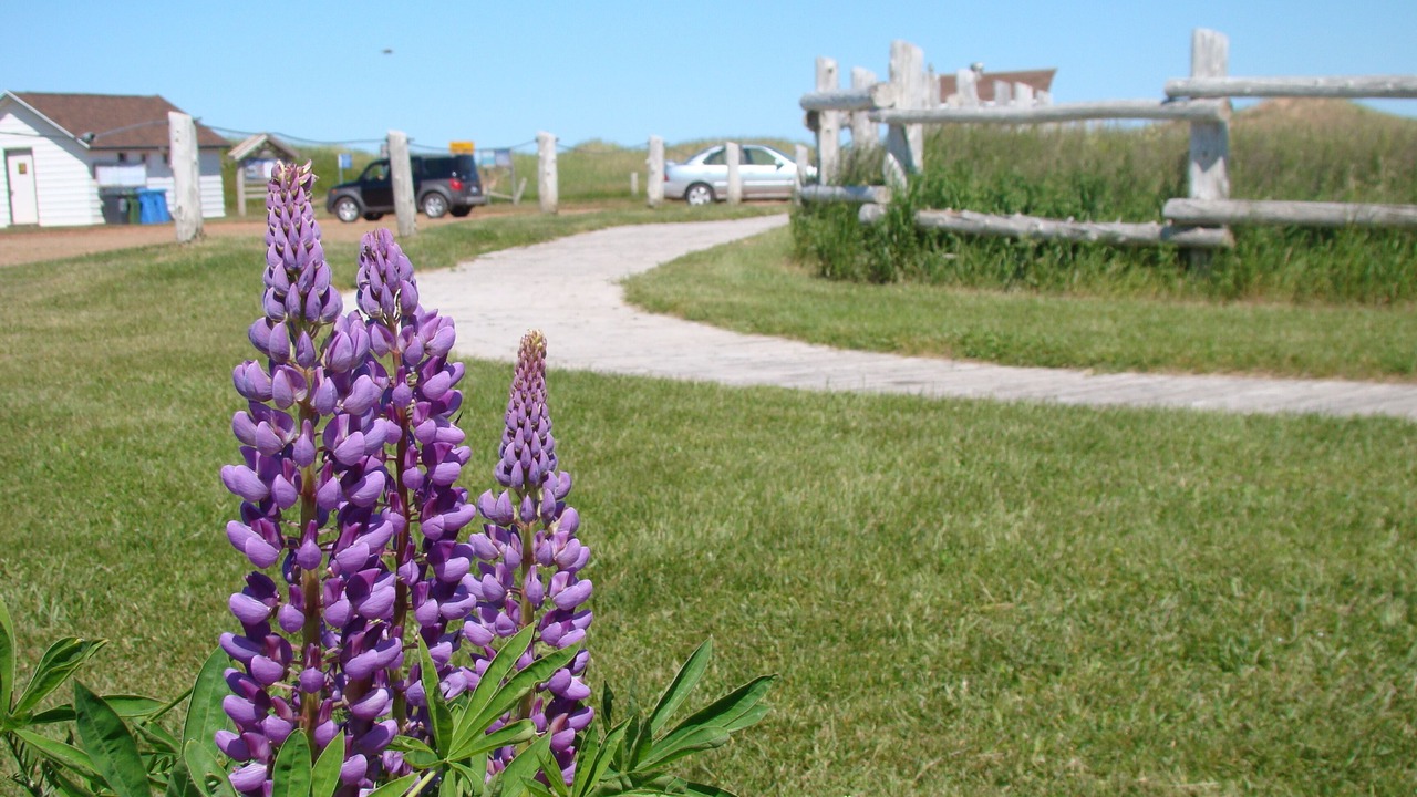 Photo of Outdoor in North Rustico