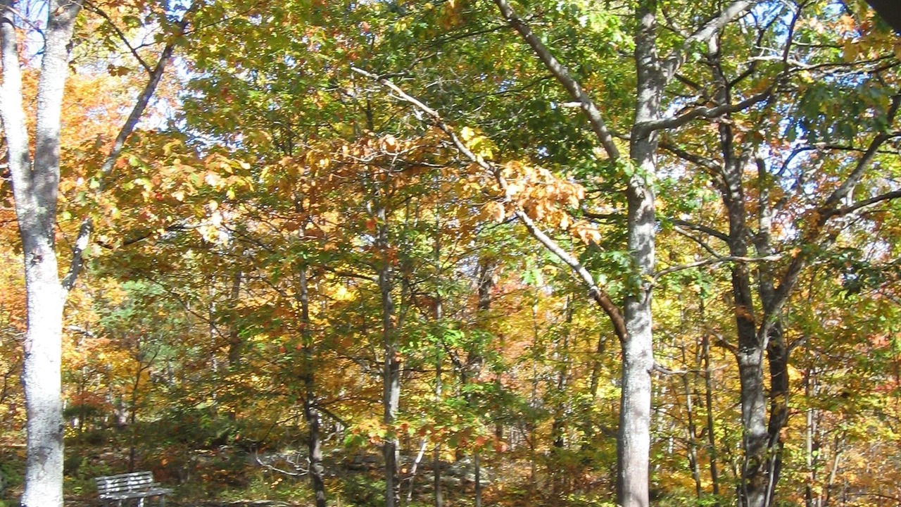 Photo of Outdoor in Gravenhurst