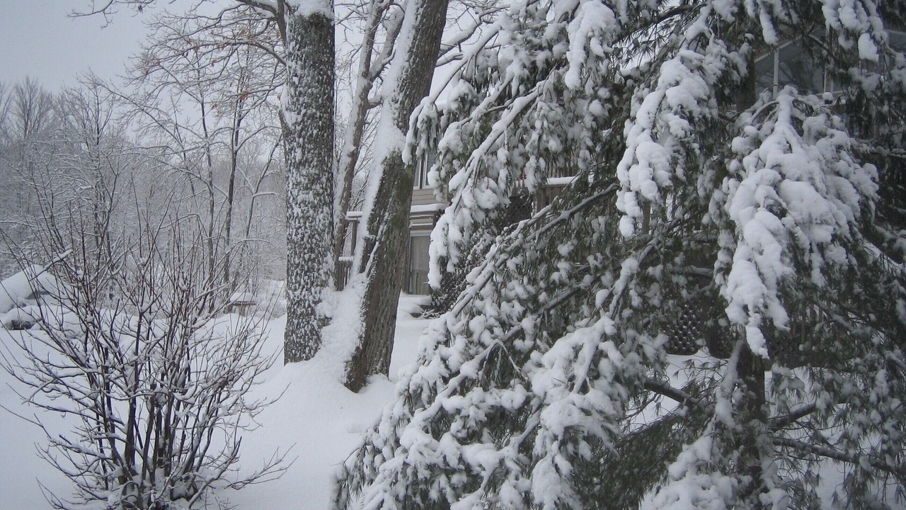 Photo of Outdoor in Gravenhurst