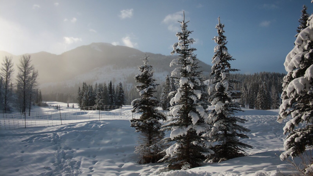 Photo of Others in East Kootenay