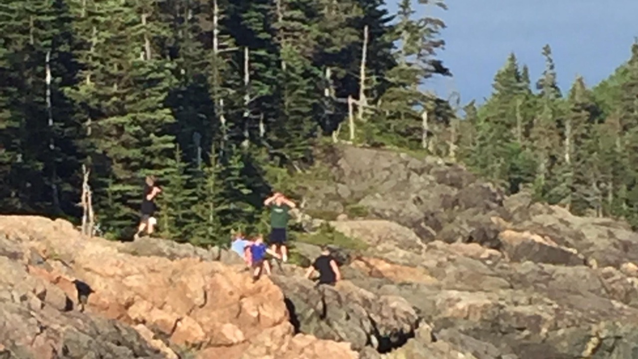 Photo of Outdoor in Beaver Harbour