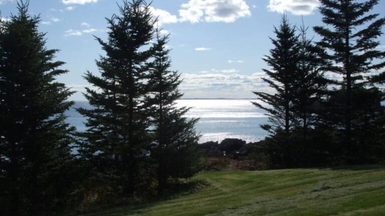 Photo of Outdoor in Beaver Harbour