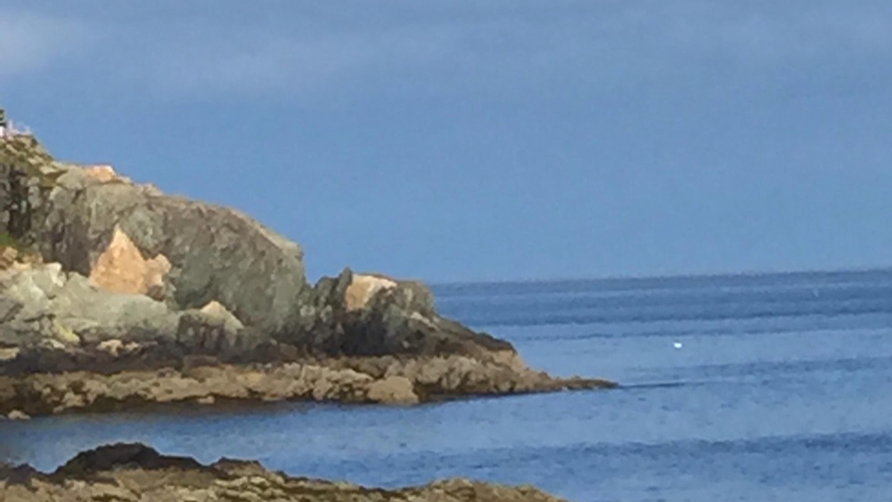 Photo of Others in Beaver Harbour