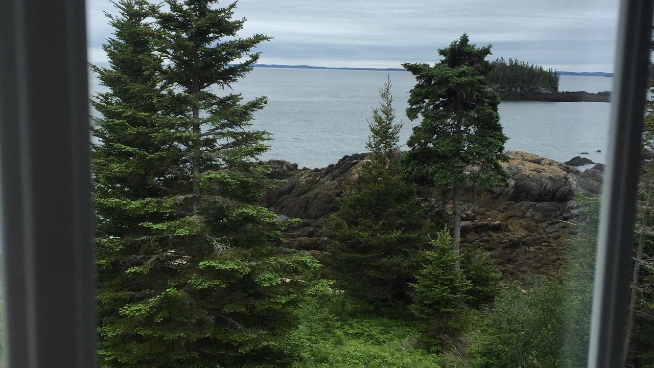 Photo of Others in Beaver Harbour