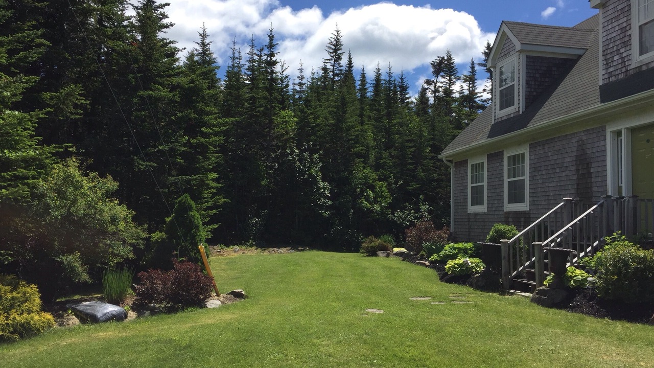 Photo of Outdoor in Beaver Harbour