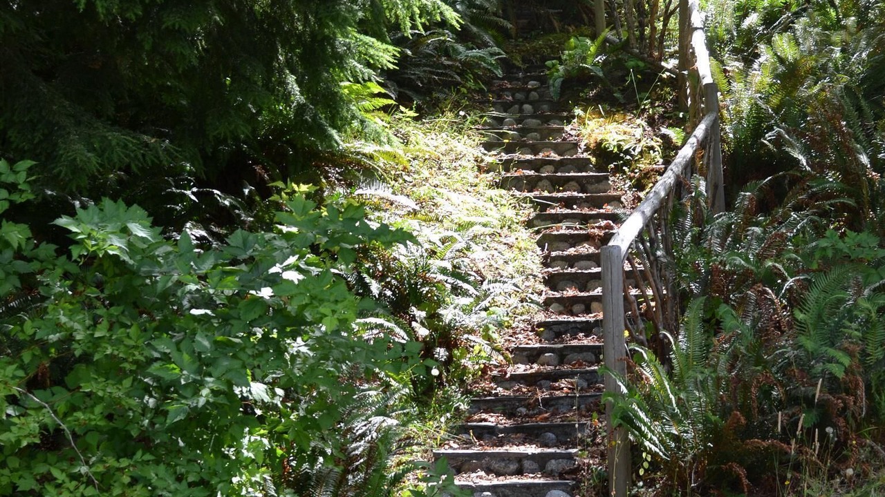 Photo of Outdoor in Port Alberni