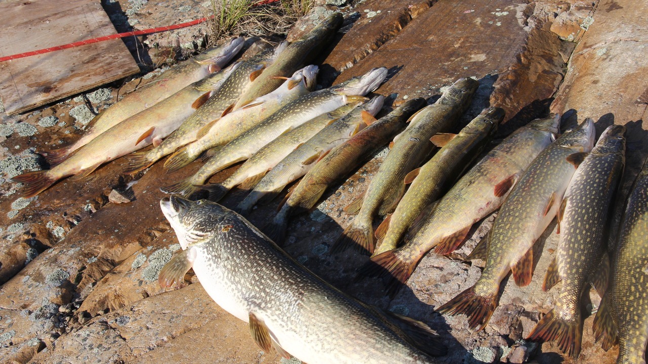 Photo of Outdoor in Manitoulin District