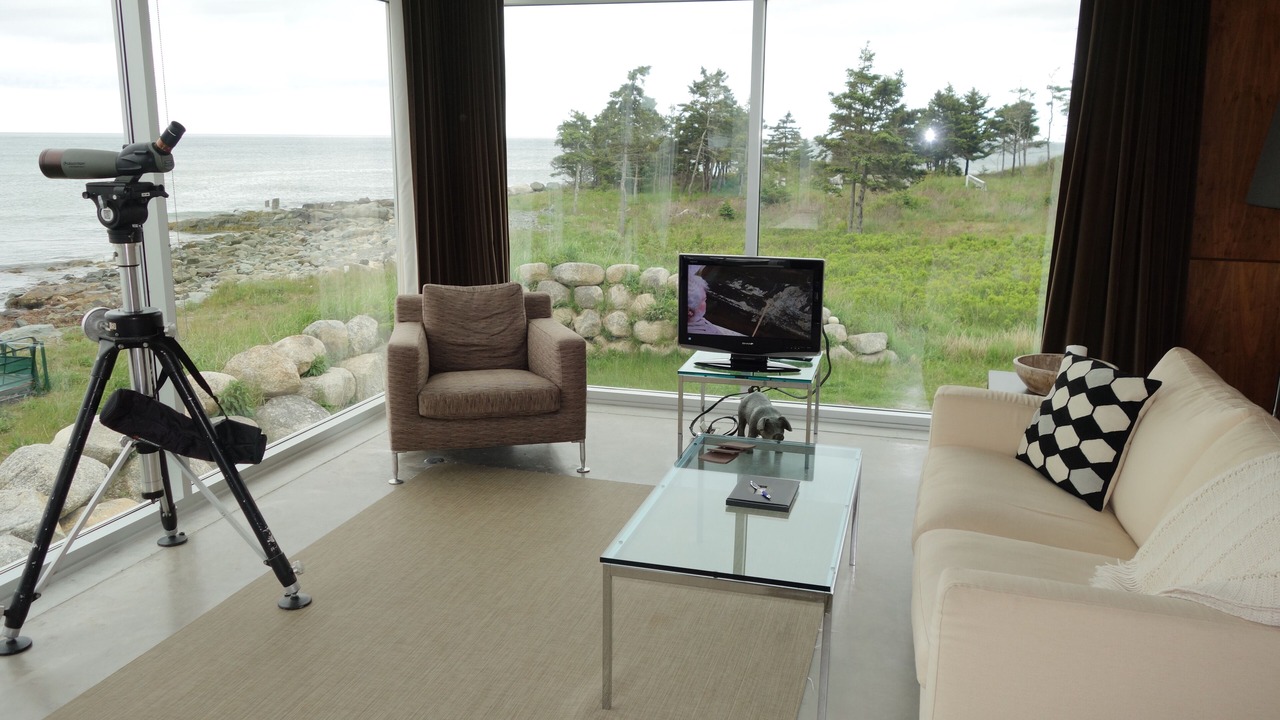 Photo of Livingroom in East Petpeswick