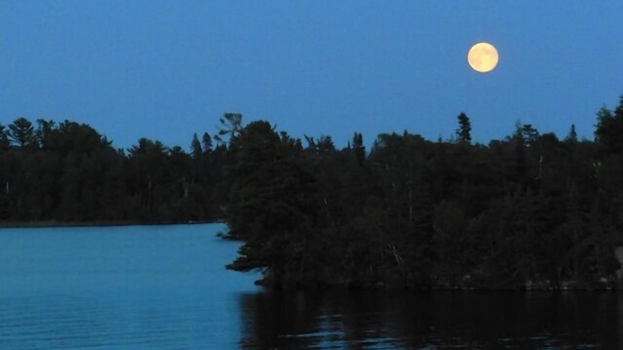 Photo of Others in Kenora