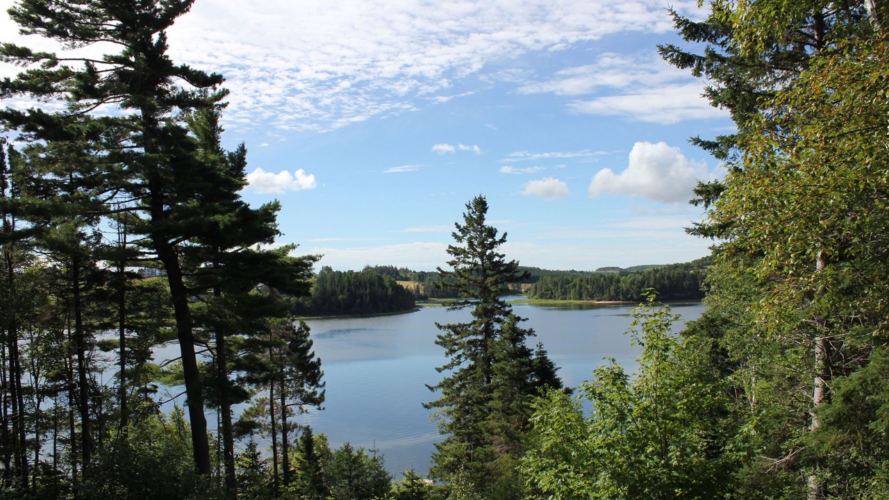 Photo of Others in French River