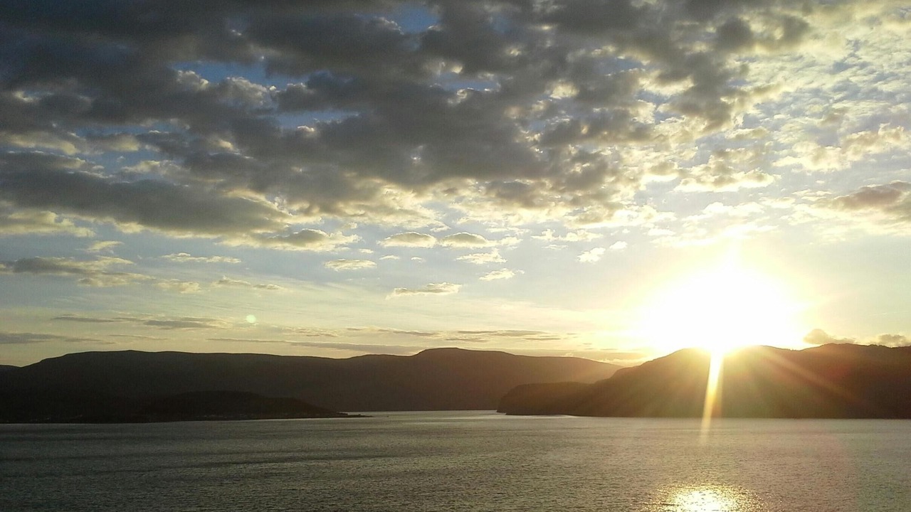 Photo of Others in Woody Point