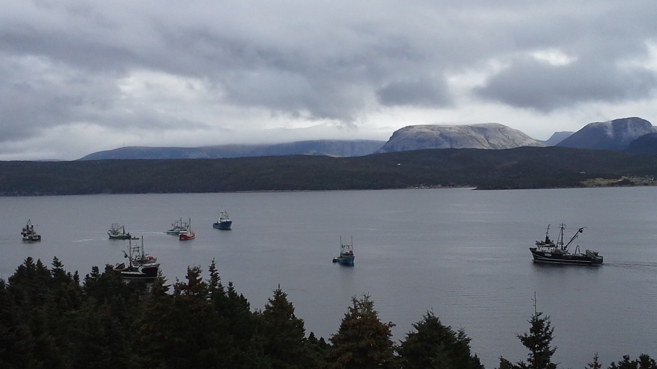 Photo of Others in Woody Point