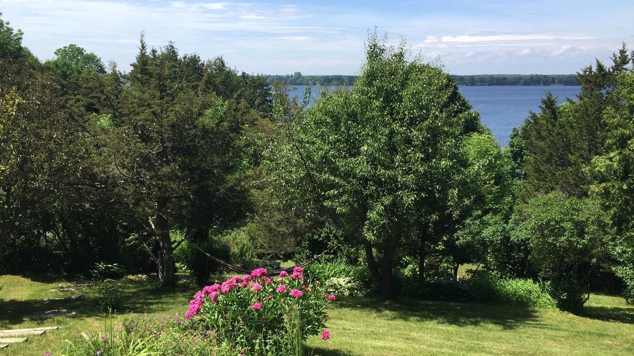 Photo of Outdoor in Bongard