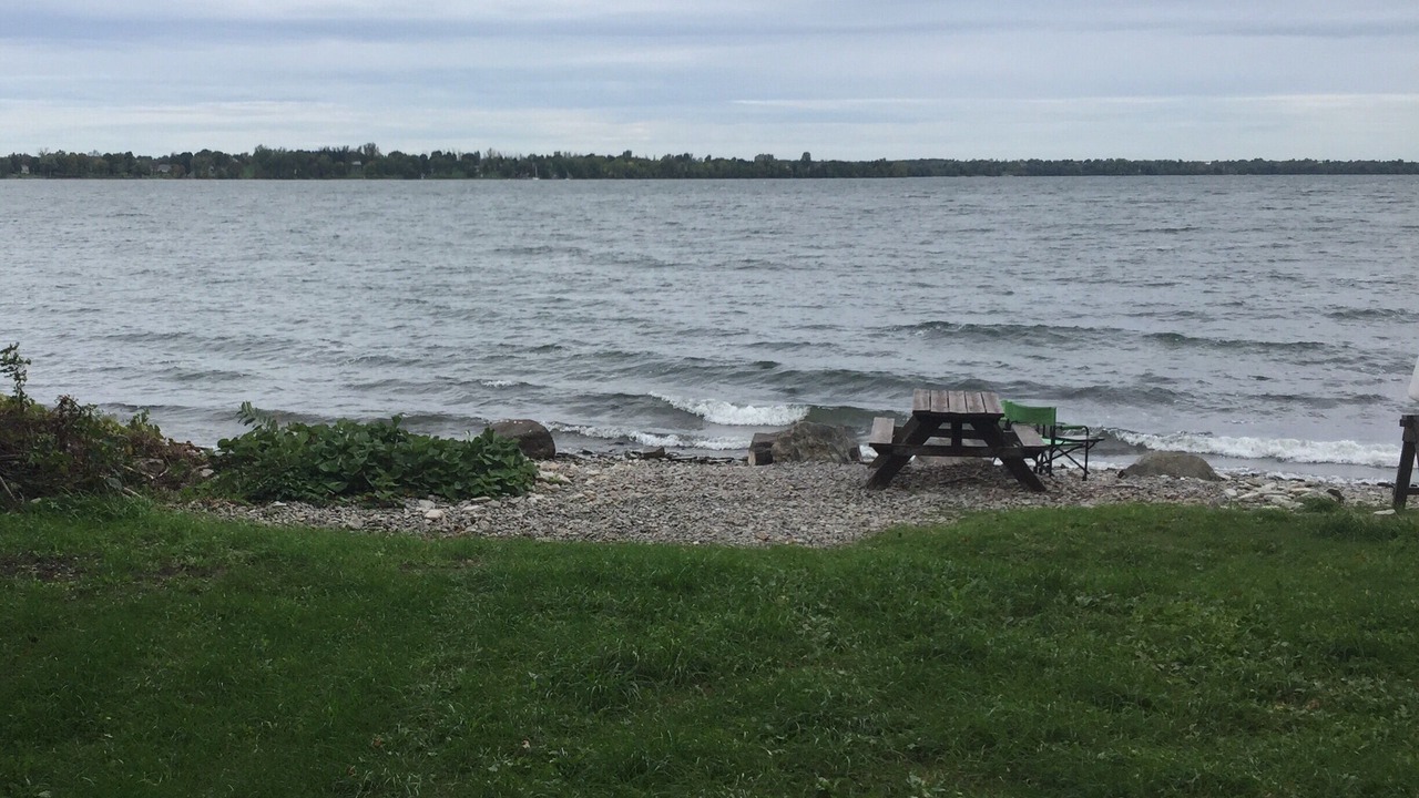 Photo of Others in Bongard