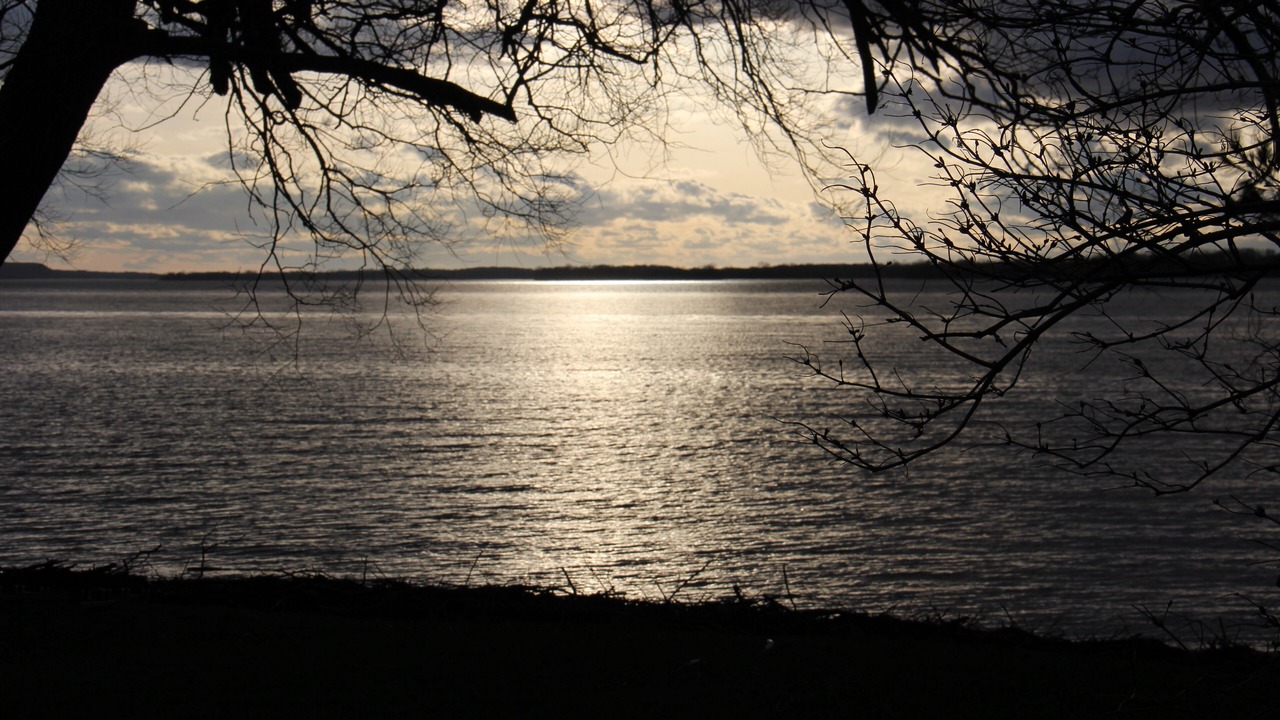 Photo of Others in Bongard