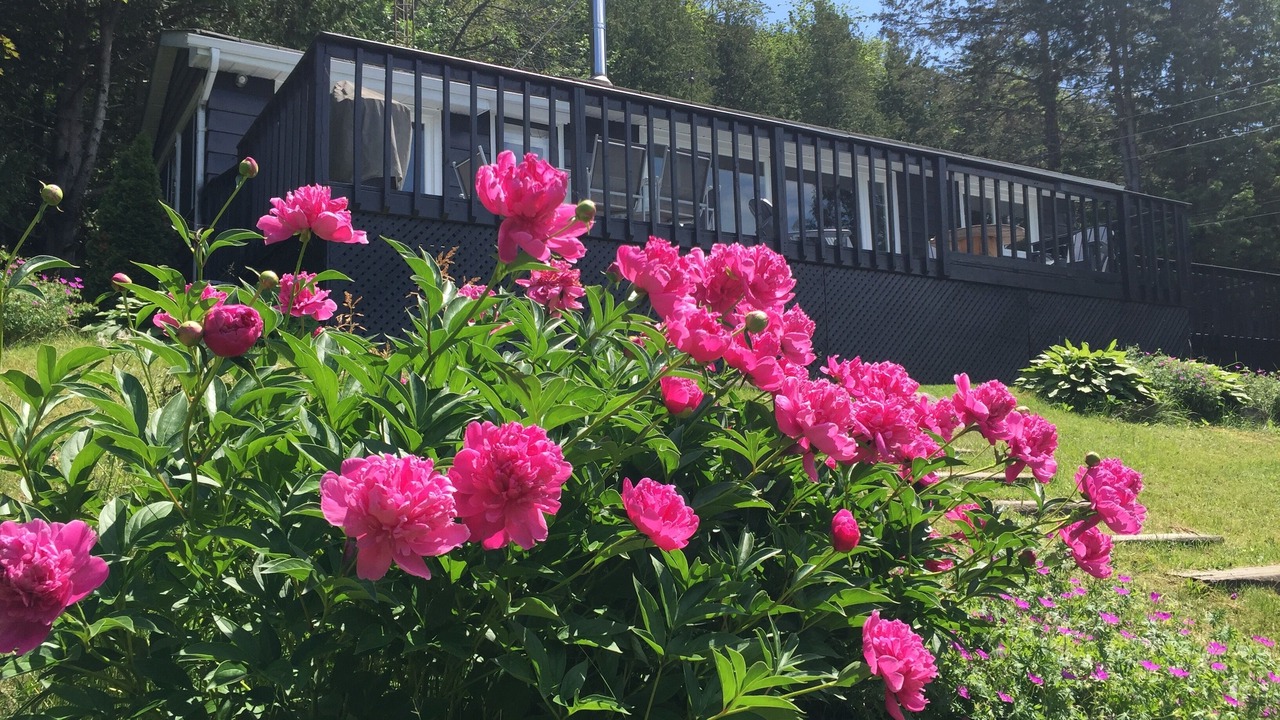Photo of Outdoor in Bongard