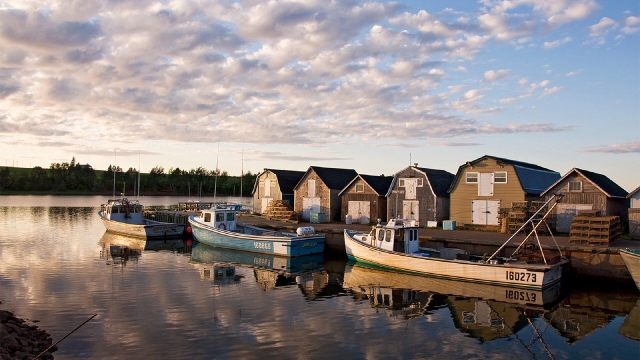 Photo of Others in French River