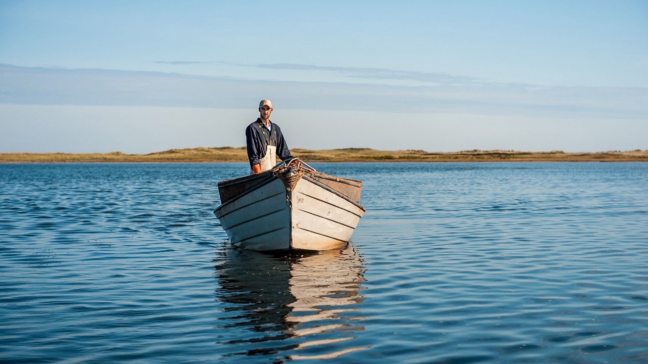 Photo of Others in French River