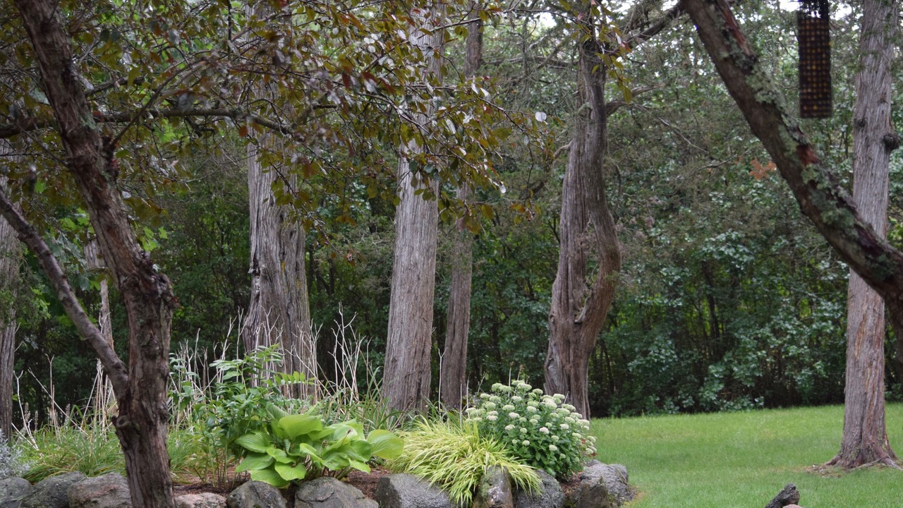 Photo of Outdoor in North Port