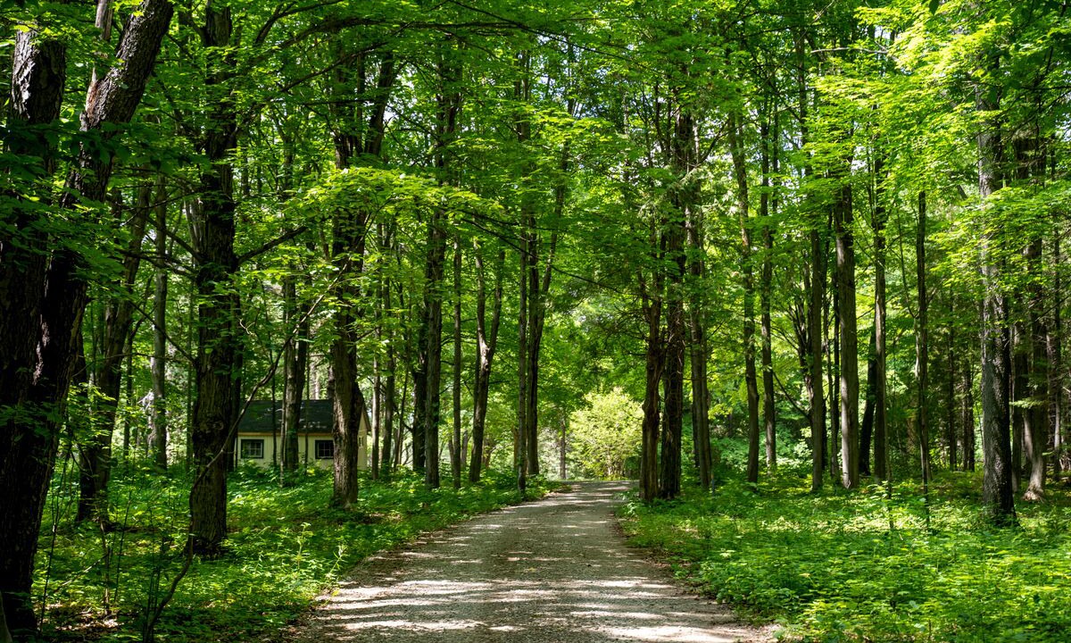 Photo of Outdoor in Mulmur
