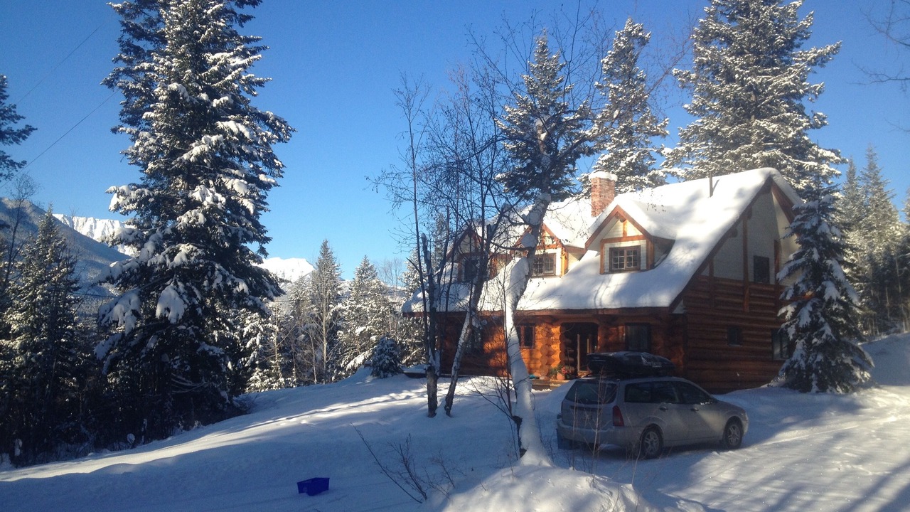 Photo of Outdoor in Golden
