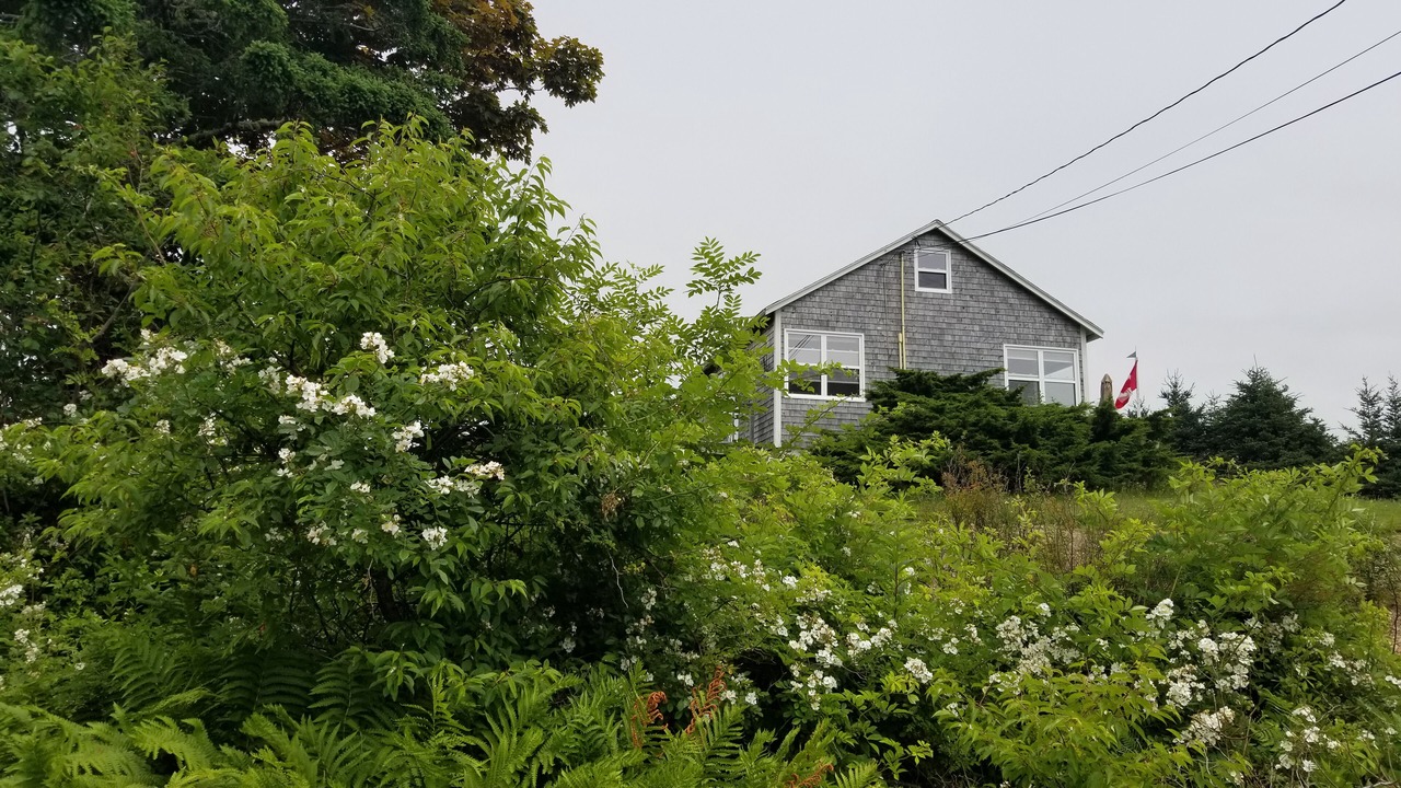 Photo of Others in Ketch Harbour