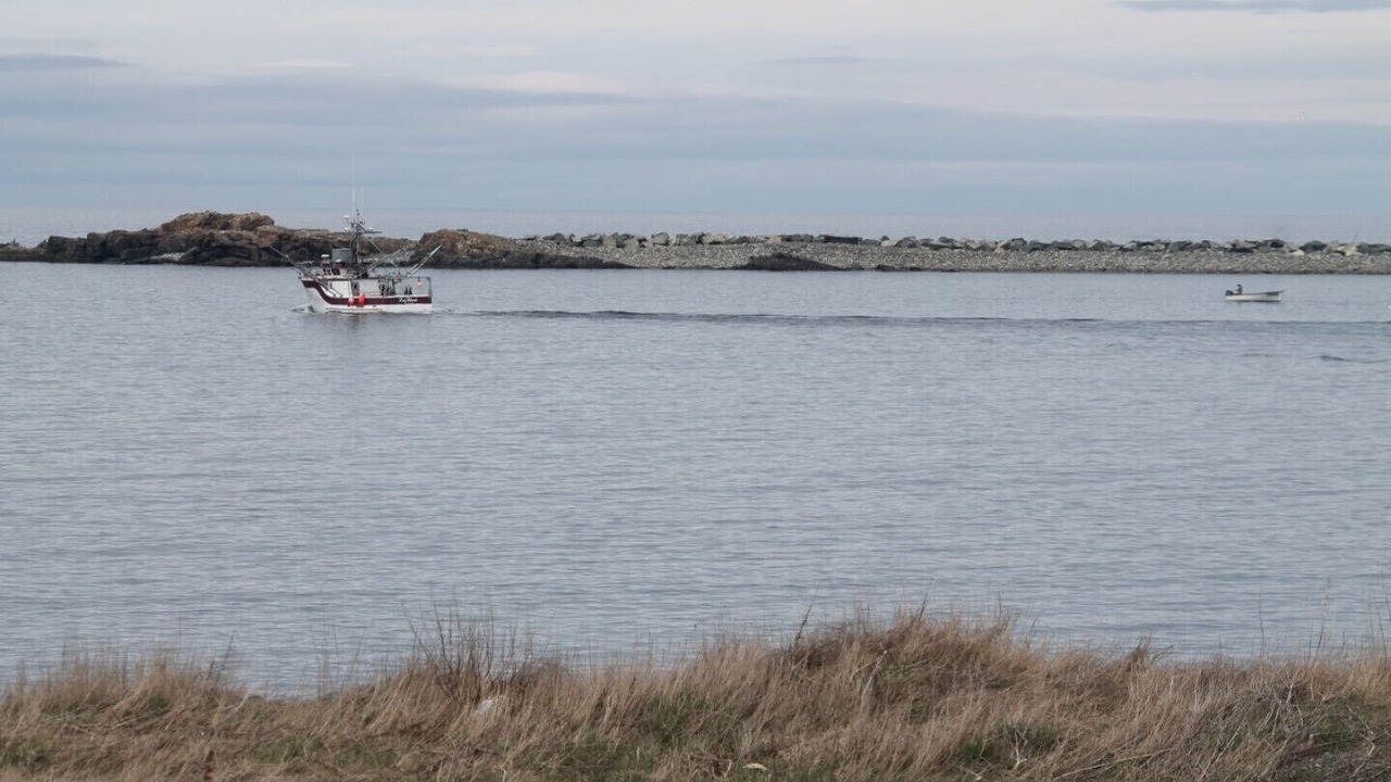 Photo of Others in Bonavista
